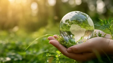 sustainable living