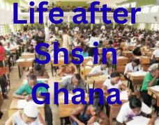 life after shs in Ghana, university, business or skill