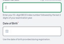 how to buy shs plcement checker with momo